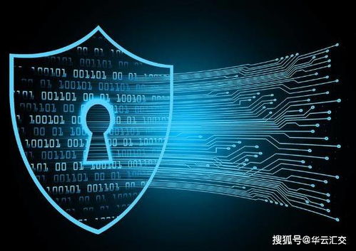 探秘區(qū)塊鏈加密技術(shù) 如何在應(yīng)用開(kāi)發(fā)中構(gòu)筑用戶隱私與安全的堅(jiān)固防線